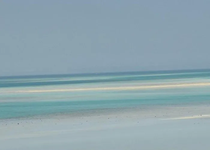 Fanadir Bay Canary Hurghada